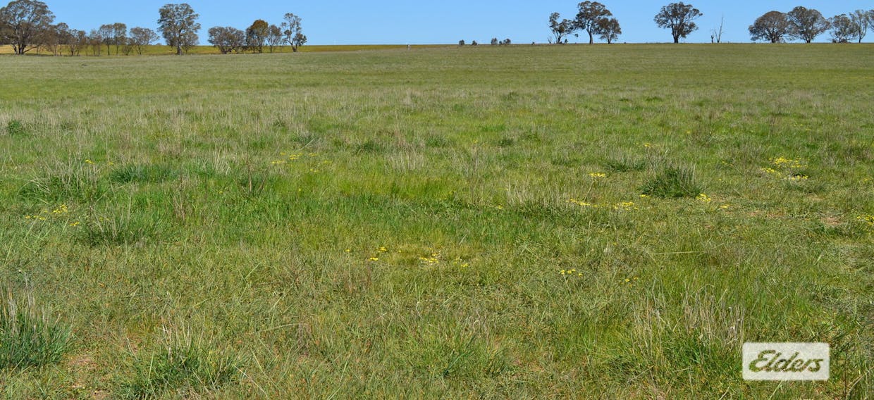 Lot 1-25 Joel Joel Road, Crowlands, VIC, 3377 - Image 12