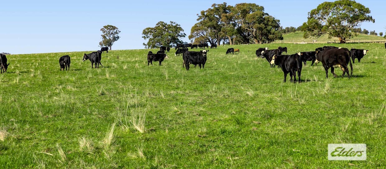 Better Route Road, Moyston, VIC, 3377 - Image 11