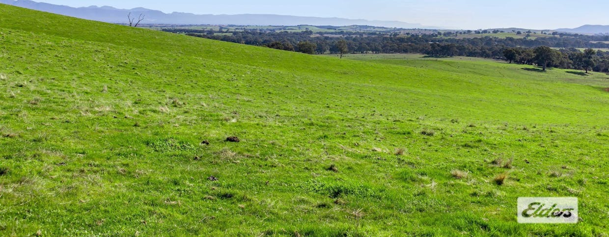Better Route Road, Moyston, VIC, 3377 - Image 12
