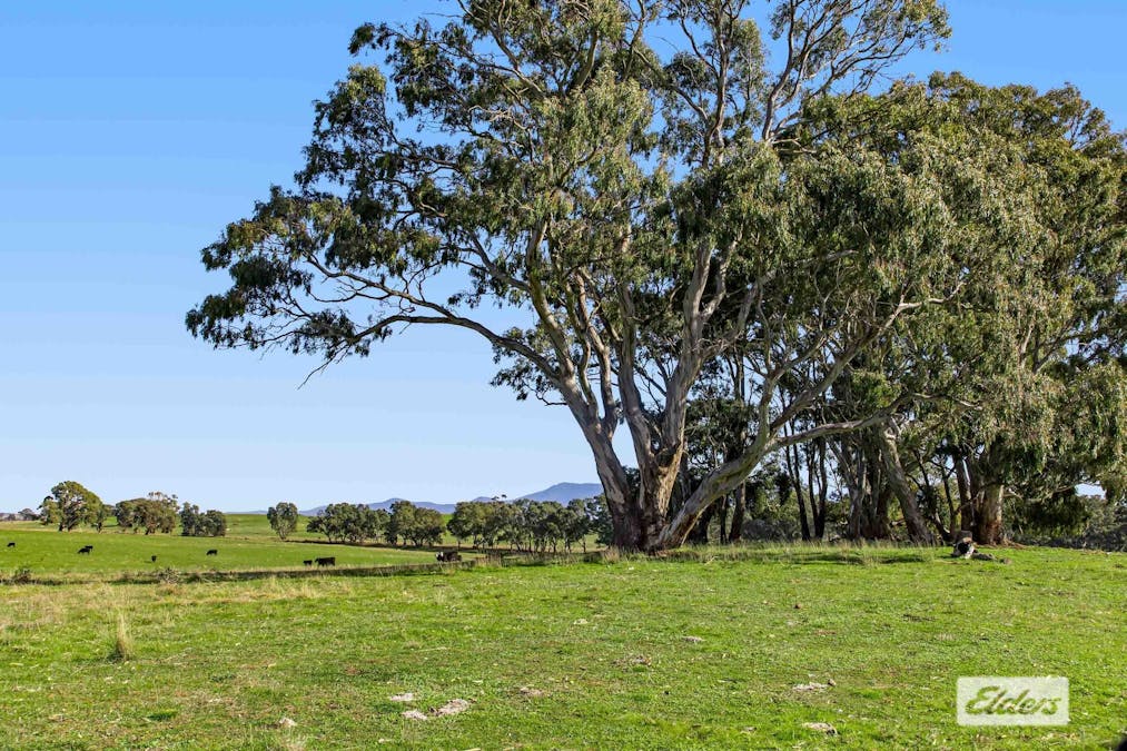 Better Route Road, Moyston, VIC, 3377 - Image 15