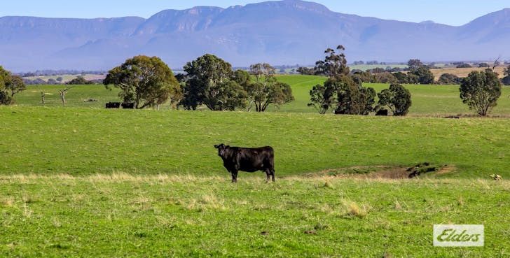 Better Route Road, Moyston, VIC, 3377 - Image 1