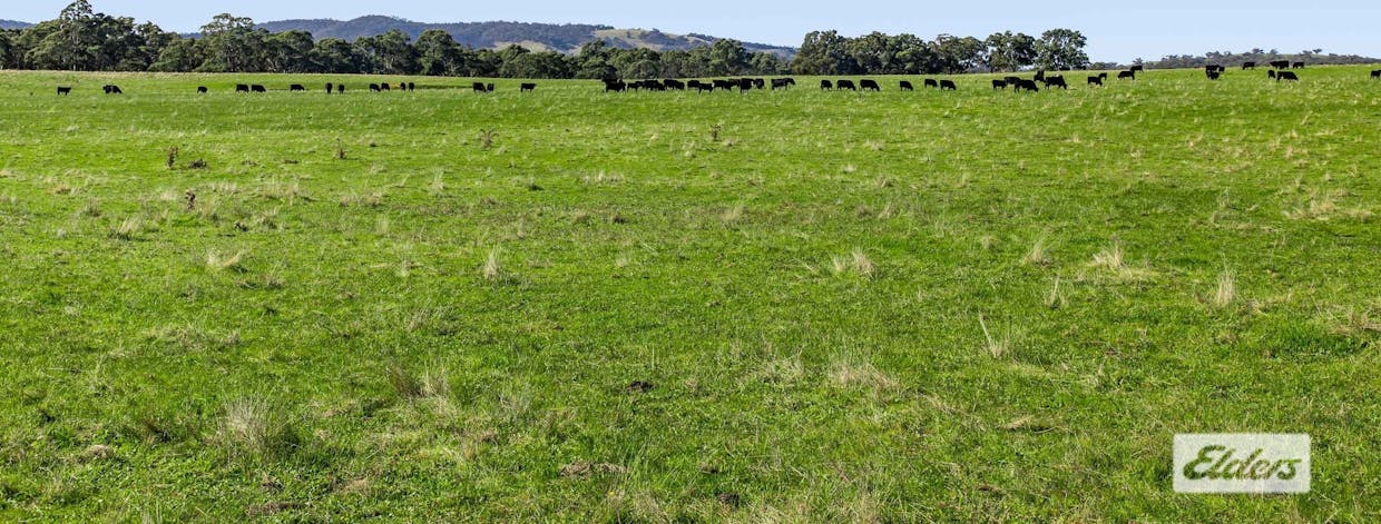 Better Route Road, Moyston, VIC, 3377 - Image 16