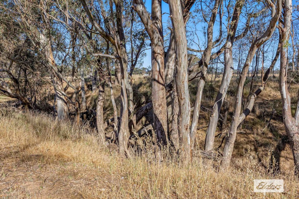 70 High Street, Navarre, VIC, 3384 - Image 13