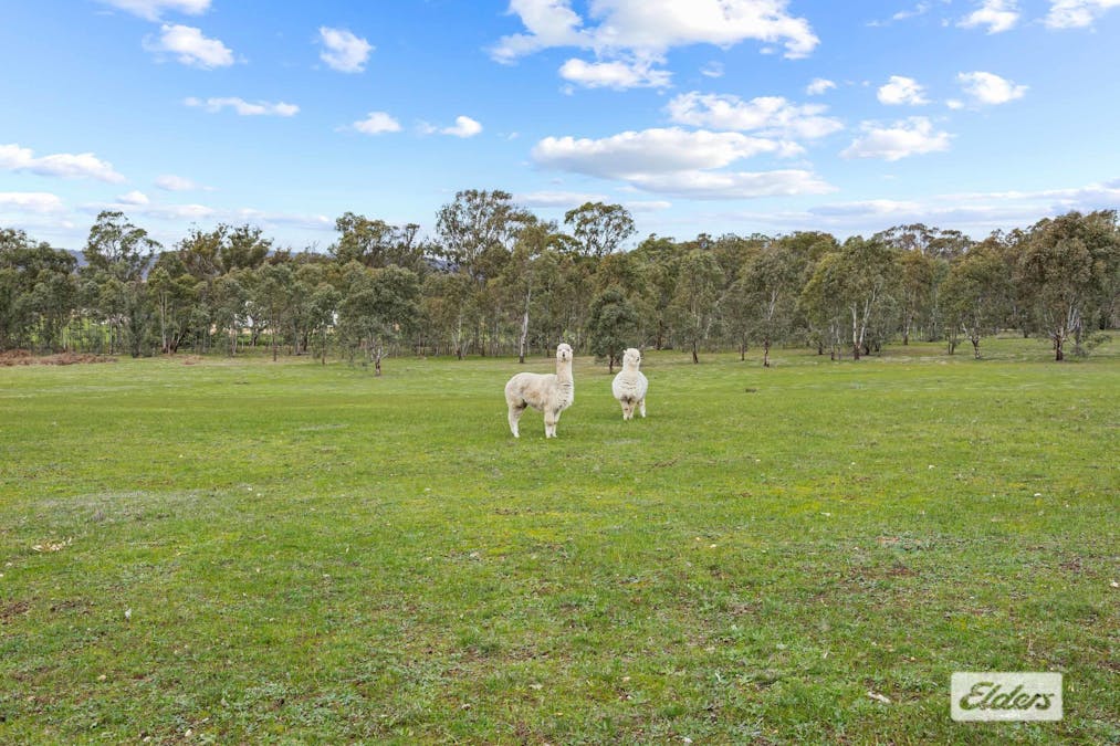 57 Aston Street, Landsborough, VIC, 3384 - Image 10