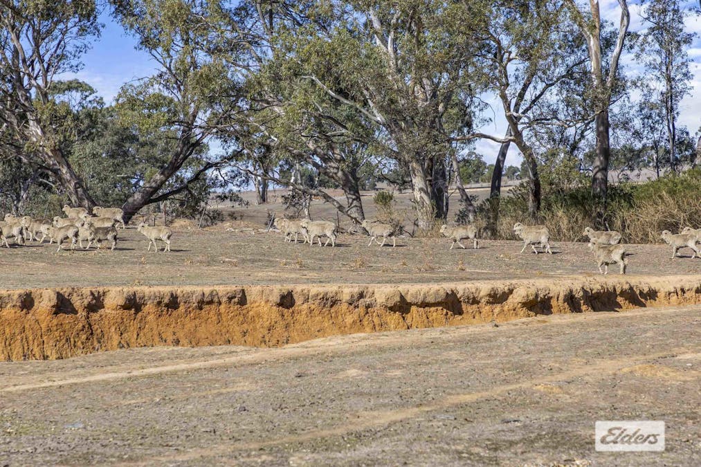 A2 & 44/Salvation Gully Road, Norval, VIC, 3377 - Image 12