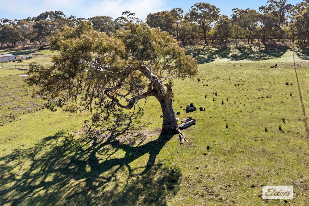 31/Coach Road Via Buangor Road, Buangor, VIC, 3375 - Image 11