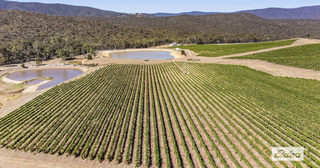 1126 Landsborough-Elmhurst Road, Glenlofty, VIC, 3469 - Image 4