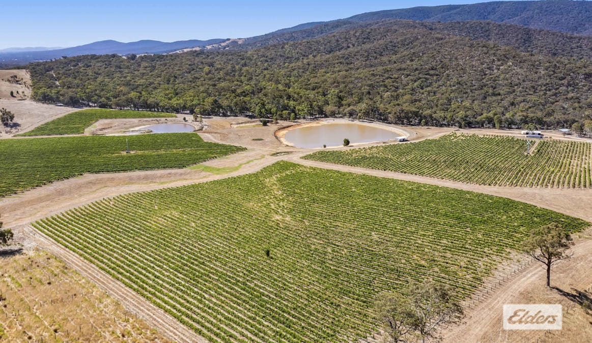 1126 Landsborough-Elmhurst Road, Glenlofty, VIC, 3469 - Image 5