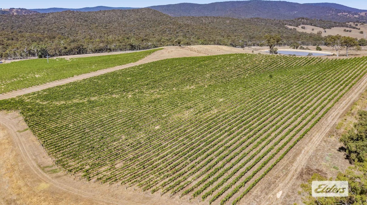 1126 Landsborough-Elmhurst Road, Glenlofty, VIC, 3469 - Image 7
