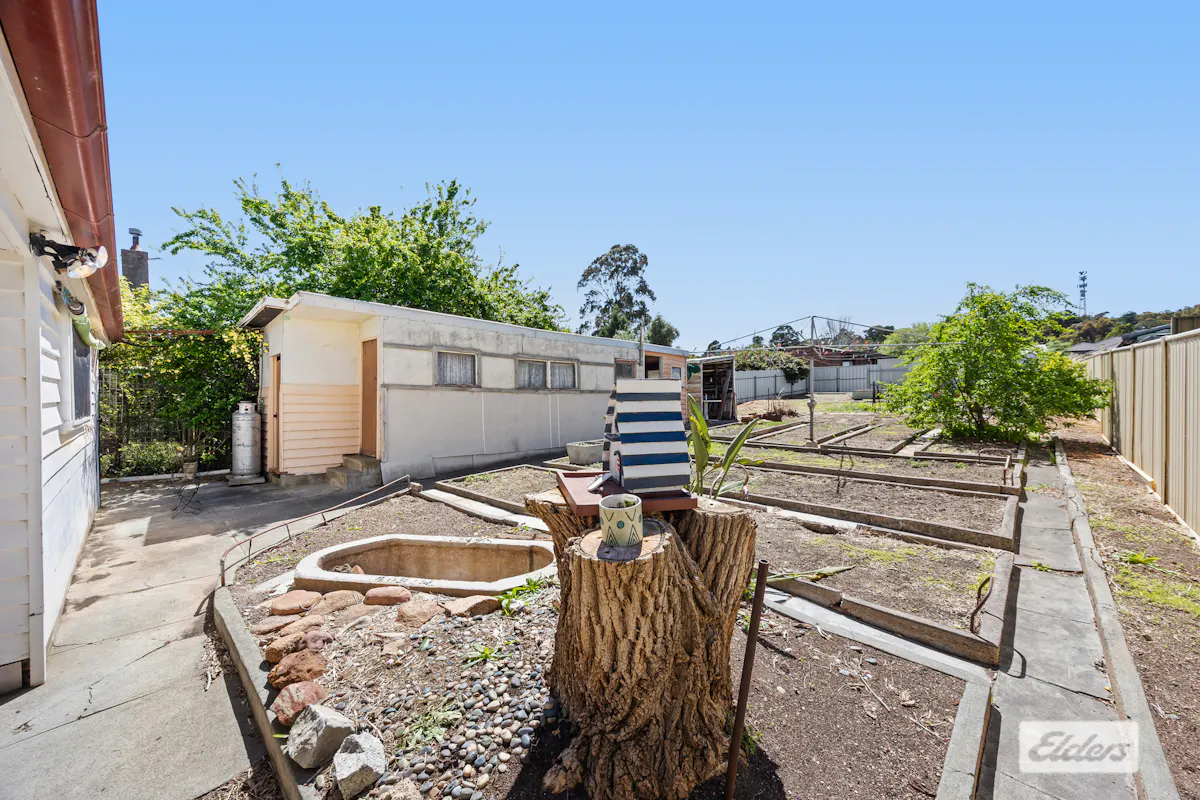 19 Patrick Street — photo 13 of 20