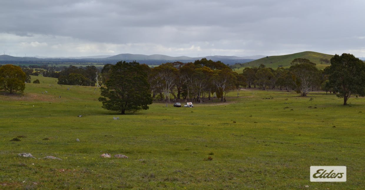 552 Spring Flat Road, Crowlands, VIC, 3377 - Image 16