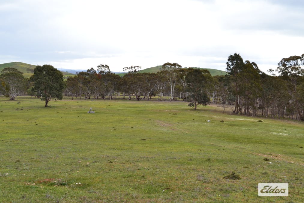 552 Spring Flat Road, Crowlands, VIC, 3377 - Image 17