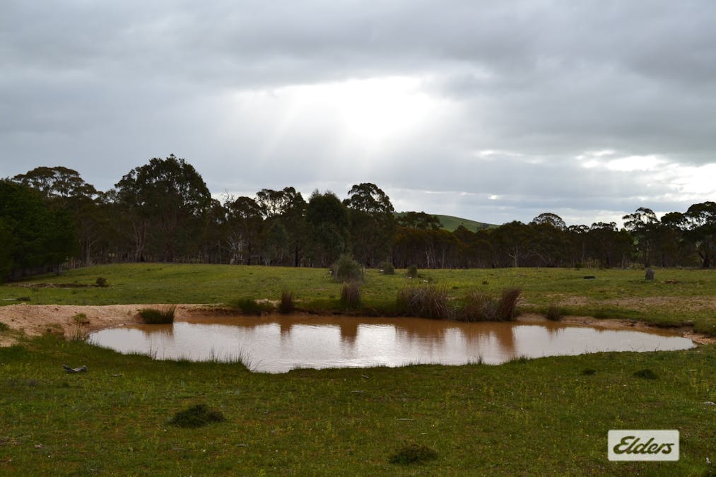 552 Spring Flat Road, Crowlands, VIC, 3377 - Image 19