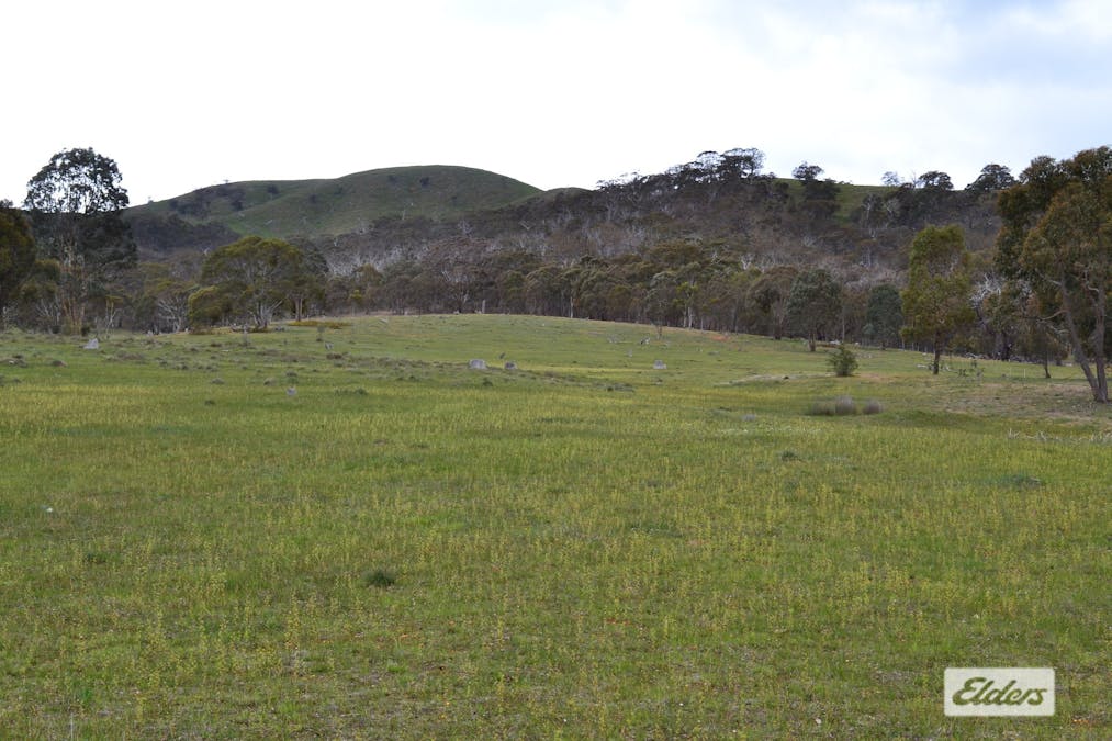 552 Spring Flat Road, Crowlands, VIC, 3377 - Image 22