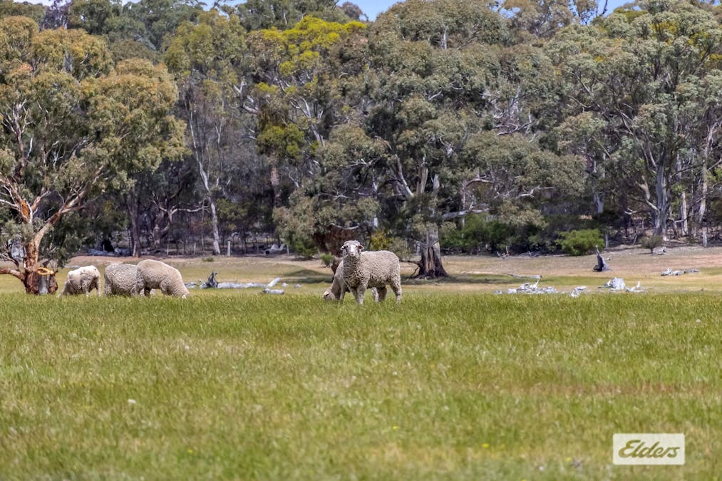 55A & 55B/Pentlands Creek Road, Rhymney, VIC, 3377 - Image 11