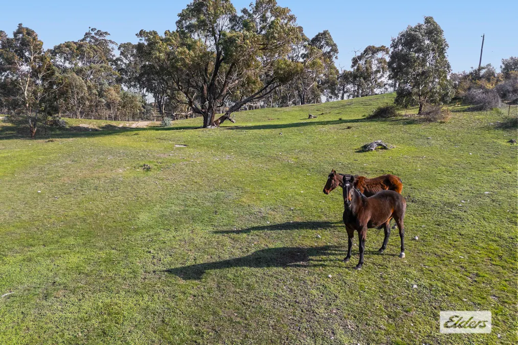 4851 Ararat-St Arnaud Road, Paradise, VIC, 3477 - Image 27