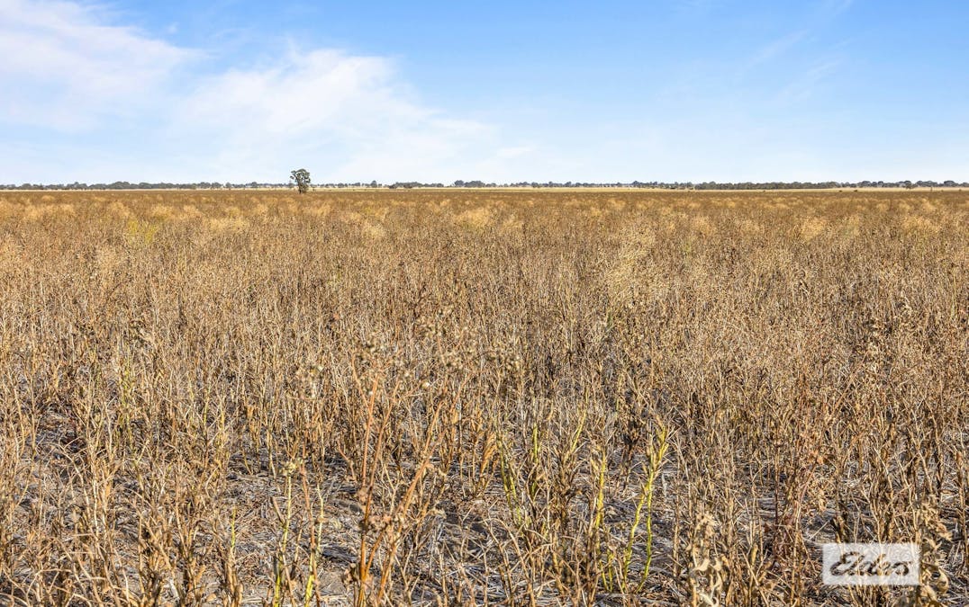 Lot 2 Soldiers Road, Marnoo West, VIC, 3387 - Image 2