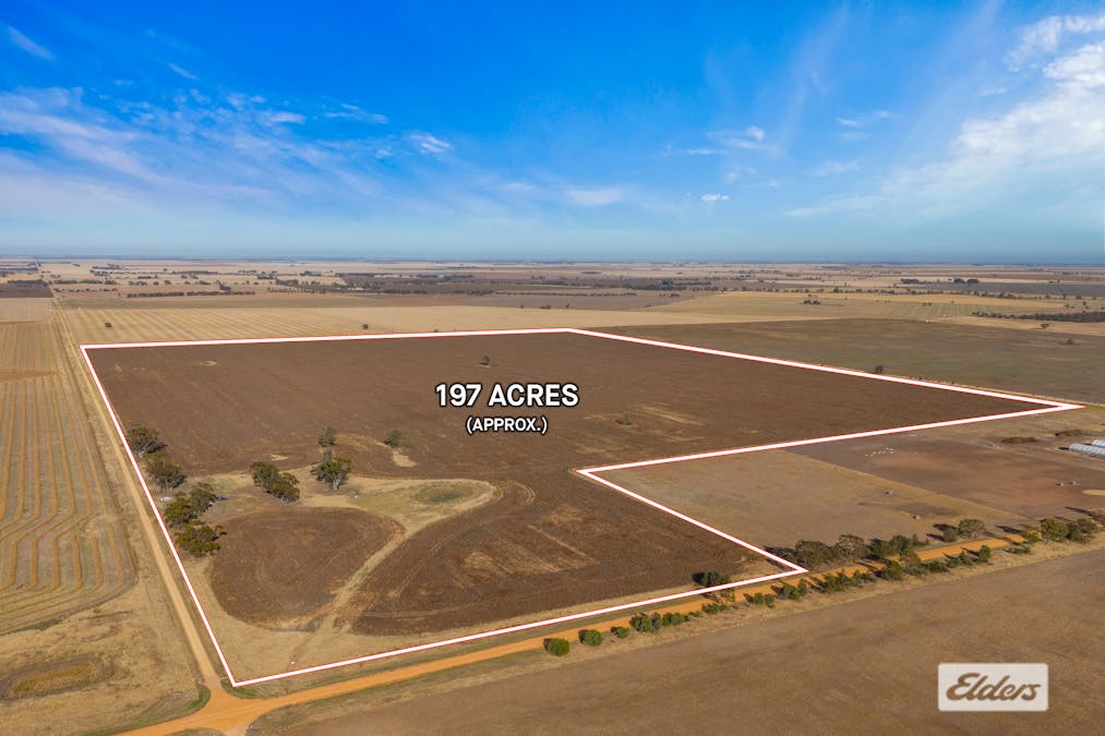 Lot 2 Soldiers Road, Marnoo West, VIC, 3387 - Image 5