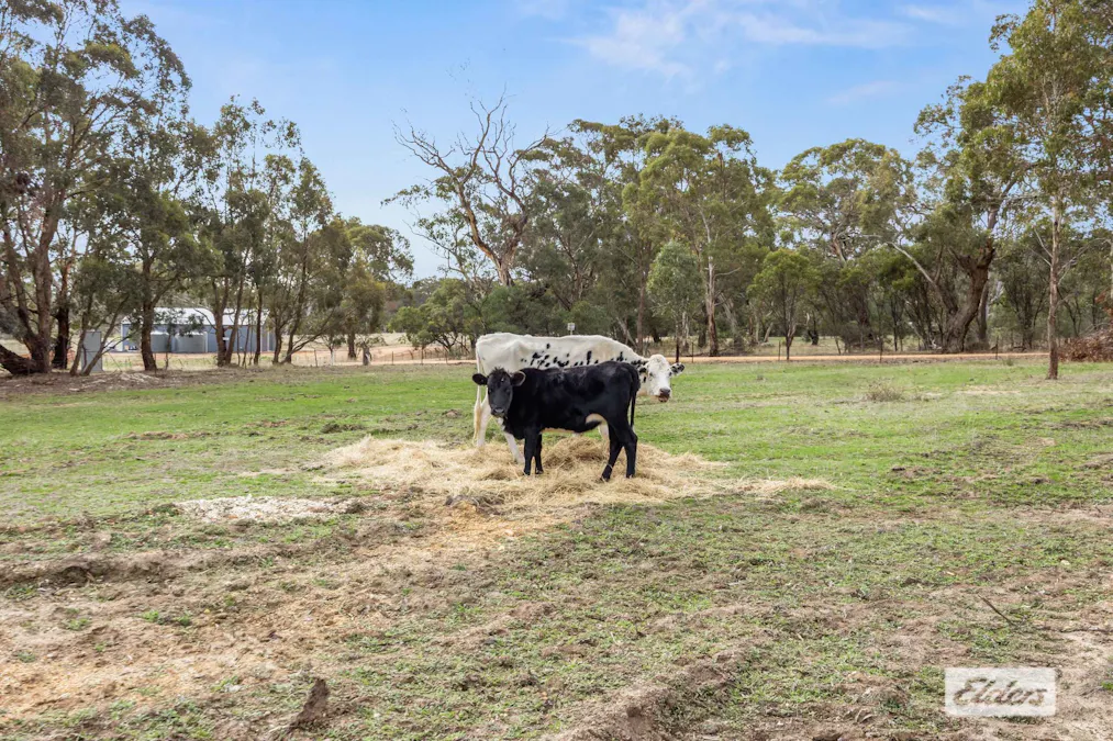 12 & 12A/Deenicull Creek Road, Cathcart, VIC, 3377 - Image 6