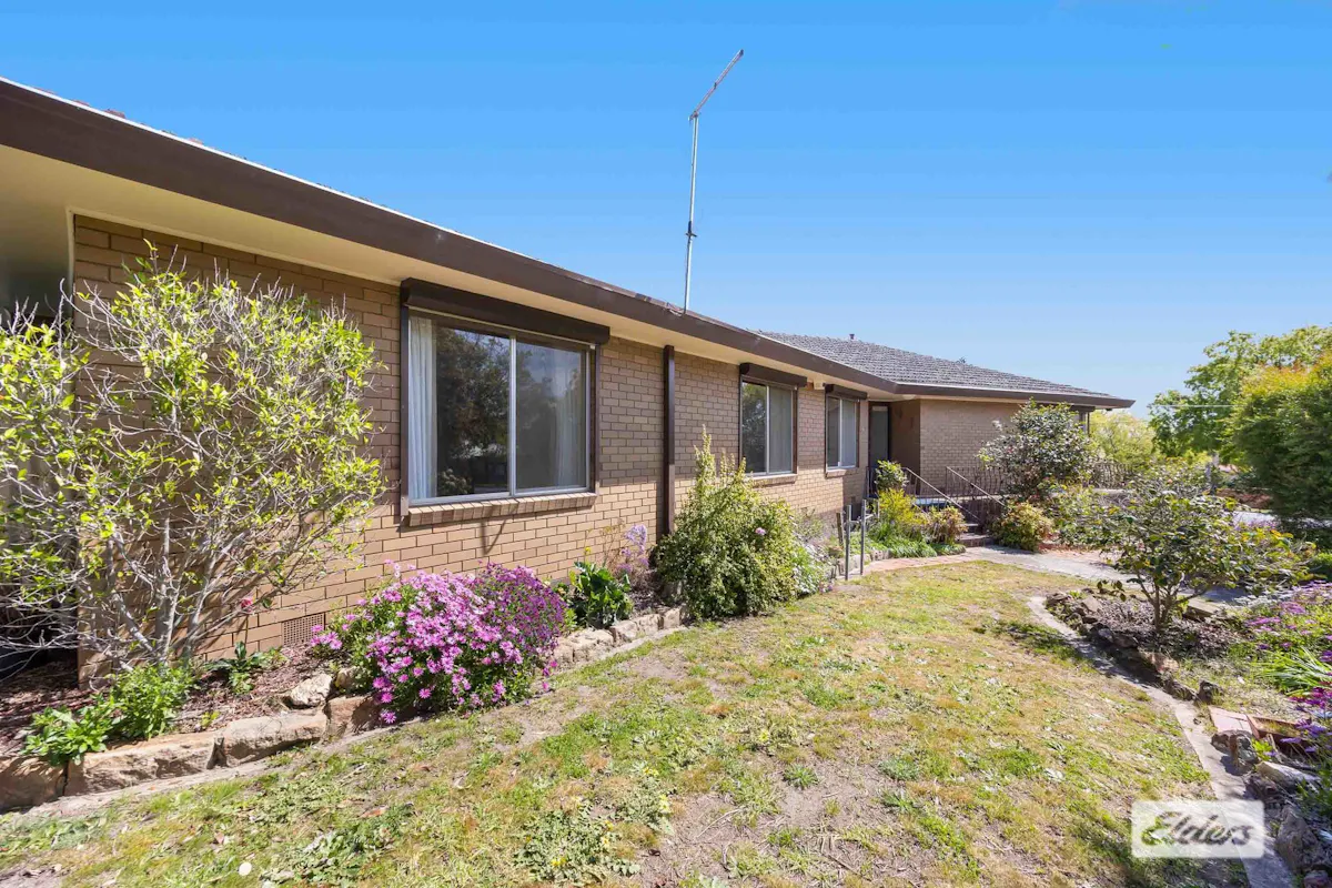 10 Luke Street — photo 27 of 30