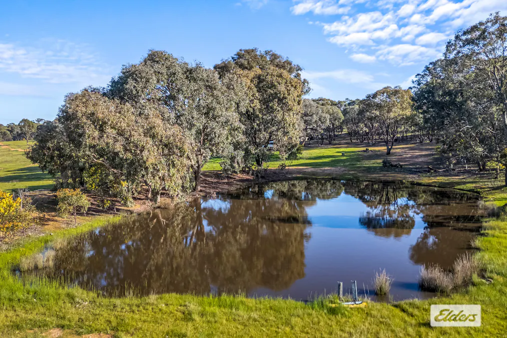 3210 Ararat - St Arnaud Road, Navarre, VIC, 3384 - Image 10