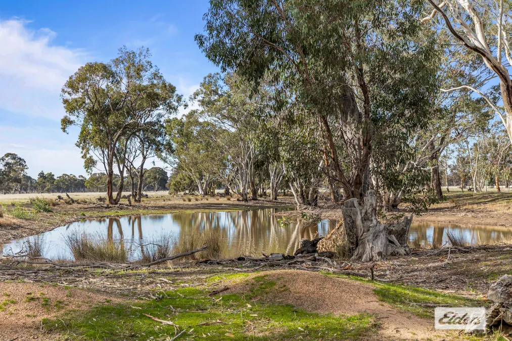 Deep Lead, VIC, 3385 - Image 5