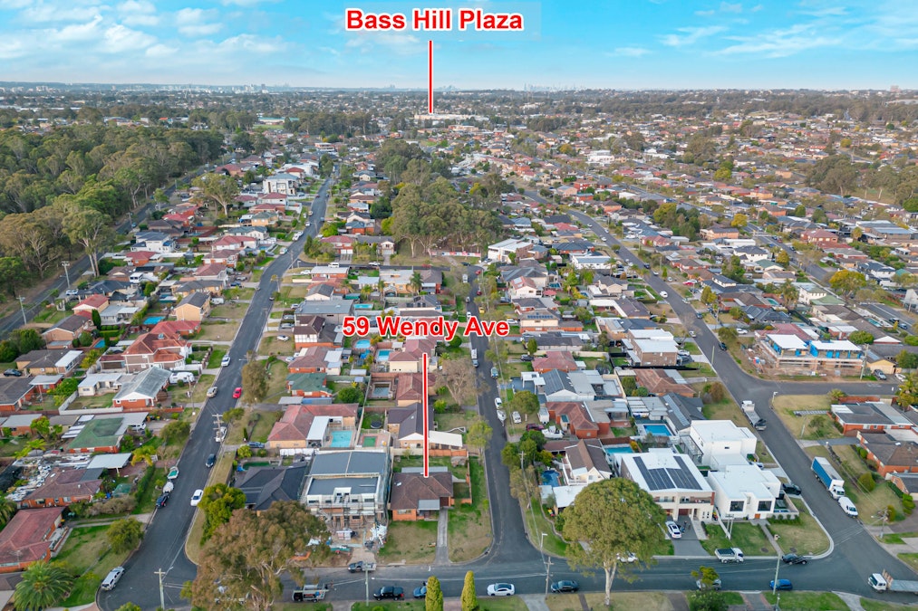 59 Wendy Avenue, Georges Hall, NSW, 2198 - Image 13