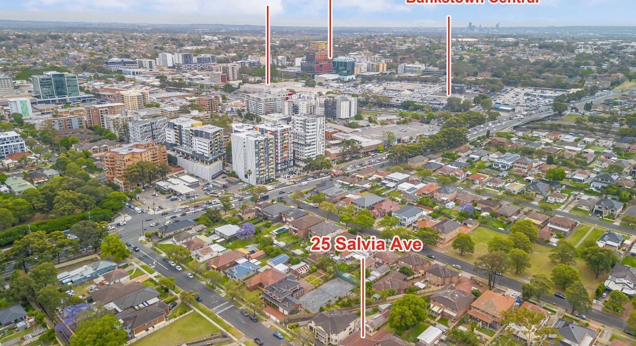 25 Salvia Avenue, Bankstown, NSW, 2200 - Image 18