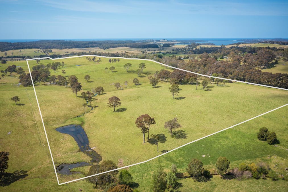 46 Bergalia Link Road, Bergalia, NSW, 2537 - Image 34