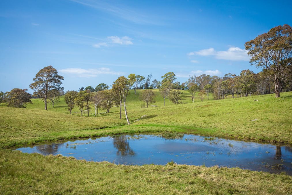 46 Bergalia Link Road, Bergalia, NSW, 2537 - Image 23