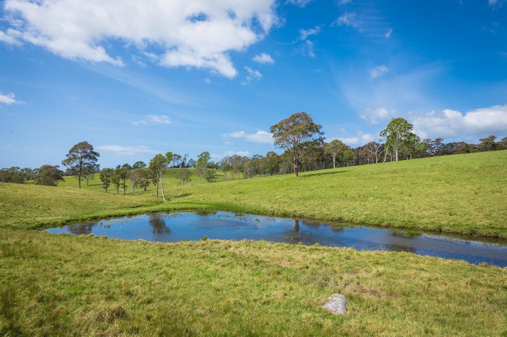 46 Bergalia Link Road, Bergalia, NSW, 2537 - Image 24