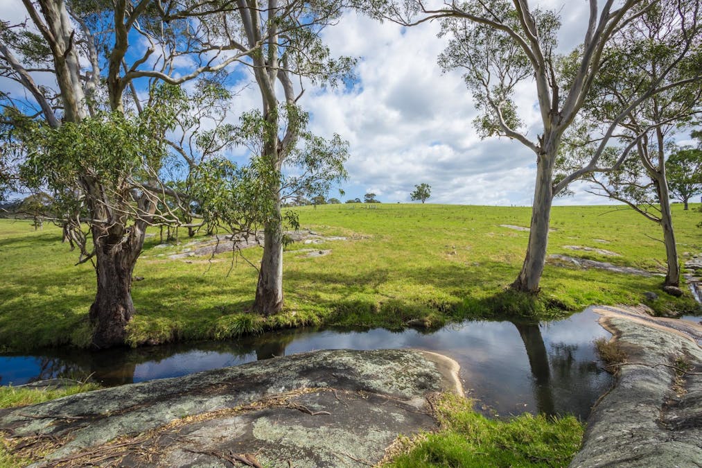 46 Bergalia Link Road, Bergalia, NSW, 2537 - Image 25