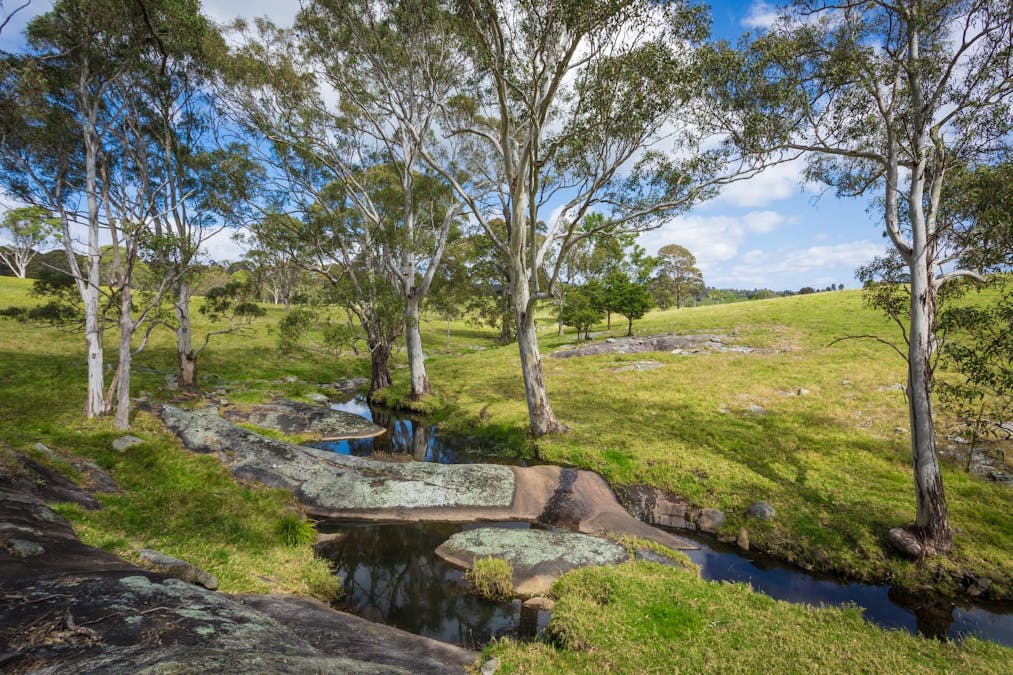 46 Bergalia Link Road, Bergalia, NSW, 2537 - Image 26