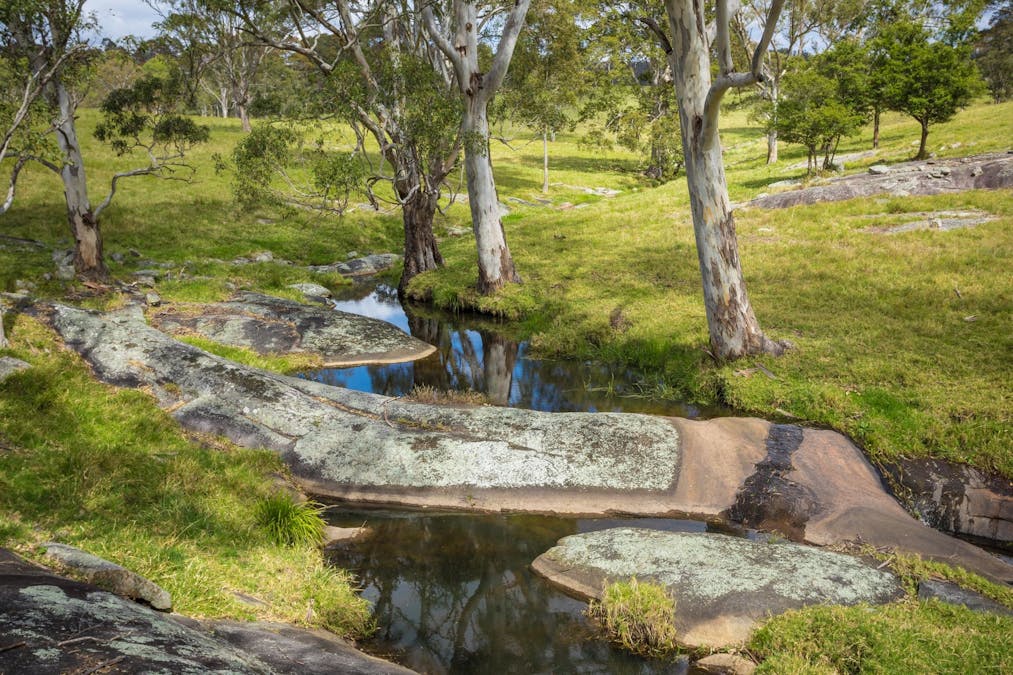 46 Bergalia Link Road, Bergalia, NSW, 2537 - Image 27