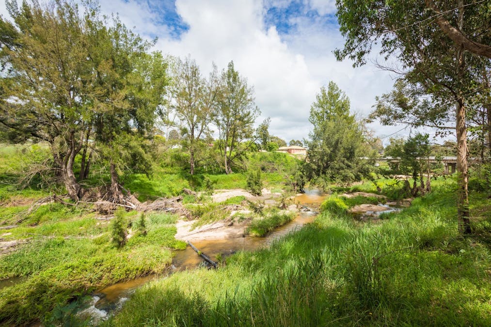11 Cobargo Bermagui Road, Cobargo, NSW, 2550 - Image 15
