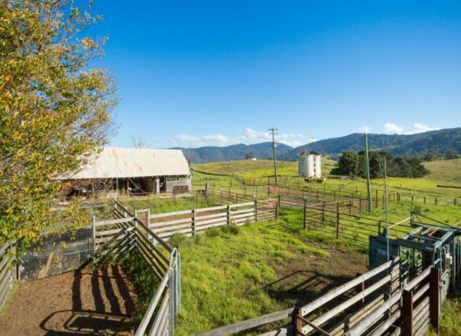 1687 Myrtle Mtn Road, Candelo, NSW, 2550 - Image 14