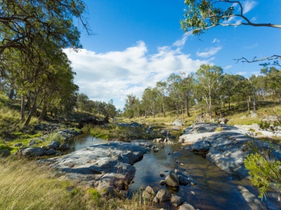 1687 Myrtle Mtn Road, Candelo, NSW, 2550 - Image 15