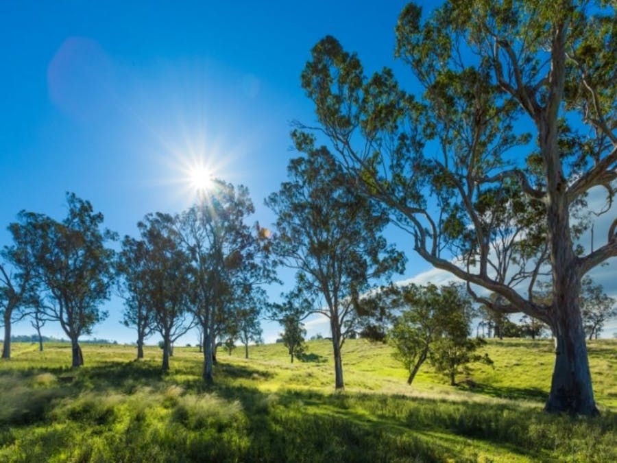 1687 Myrtle Mtn Road, Candelo, NSW, 2550 - Image 17