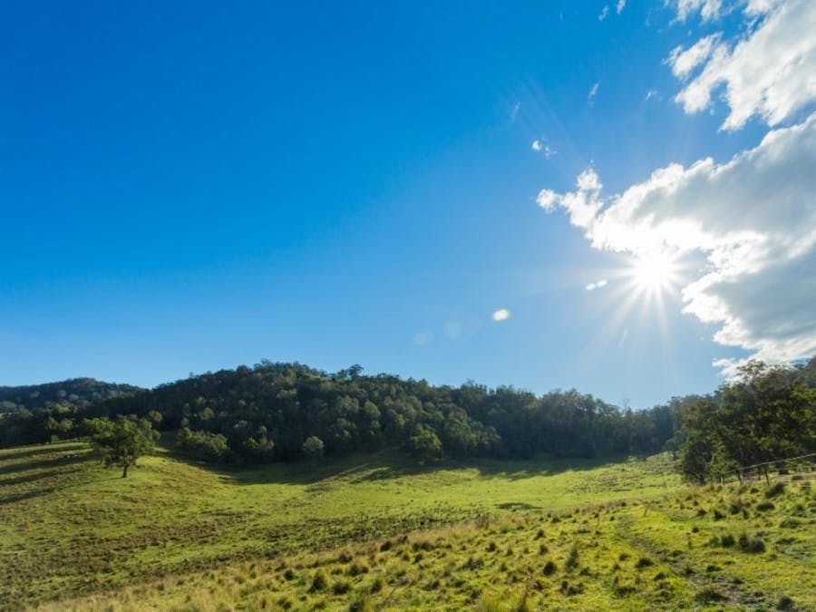 1687 Myrtle Mtn Road, Candelo, NSW, 2550 - Image 18