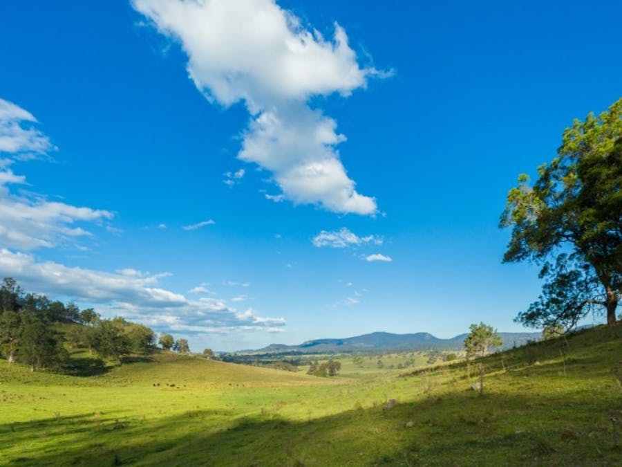1687 Myrtle Mtn Road, Candelo, NSW, 2550 - Image 19