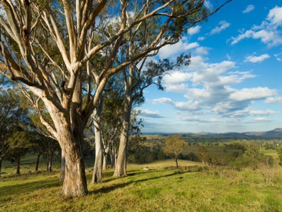 1687 Myrtle Mtn Road, Candelo, NSW, 2550 - Image 21