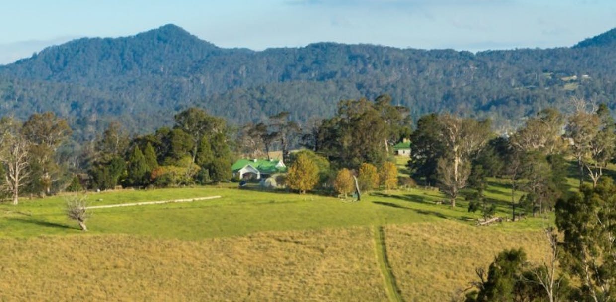 1687 Myrtle Mtn Road, Candelo, NSW, 2550 - Image 23