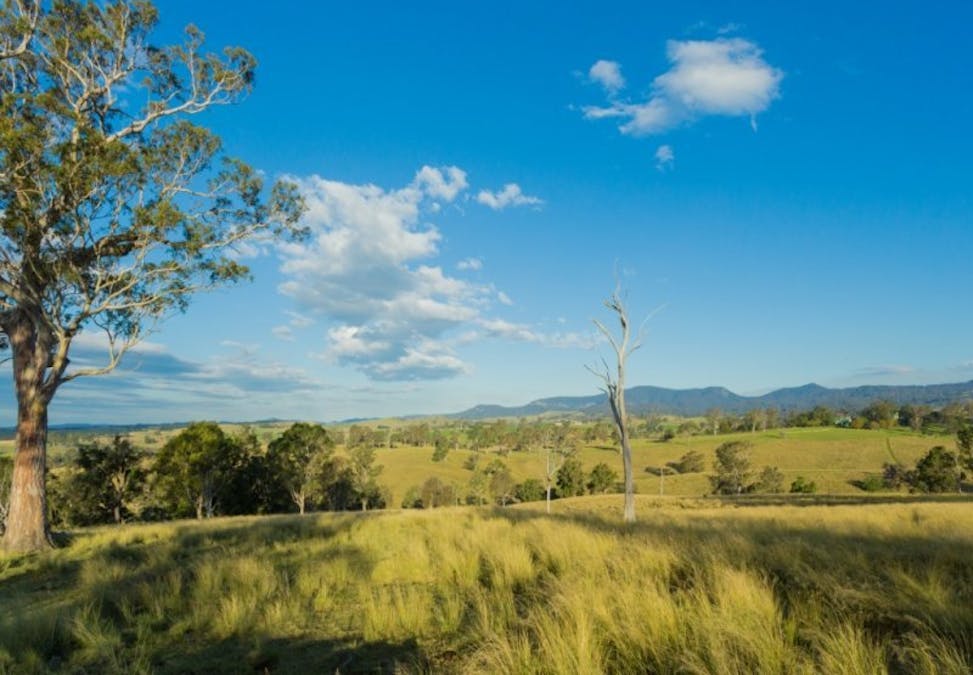 1687 Myrtle Mtn Road, Candelo, NSW, 2550 - Image 24