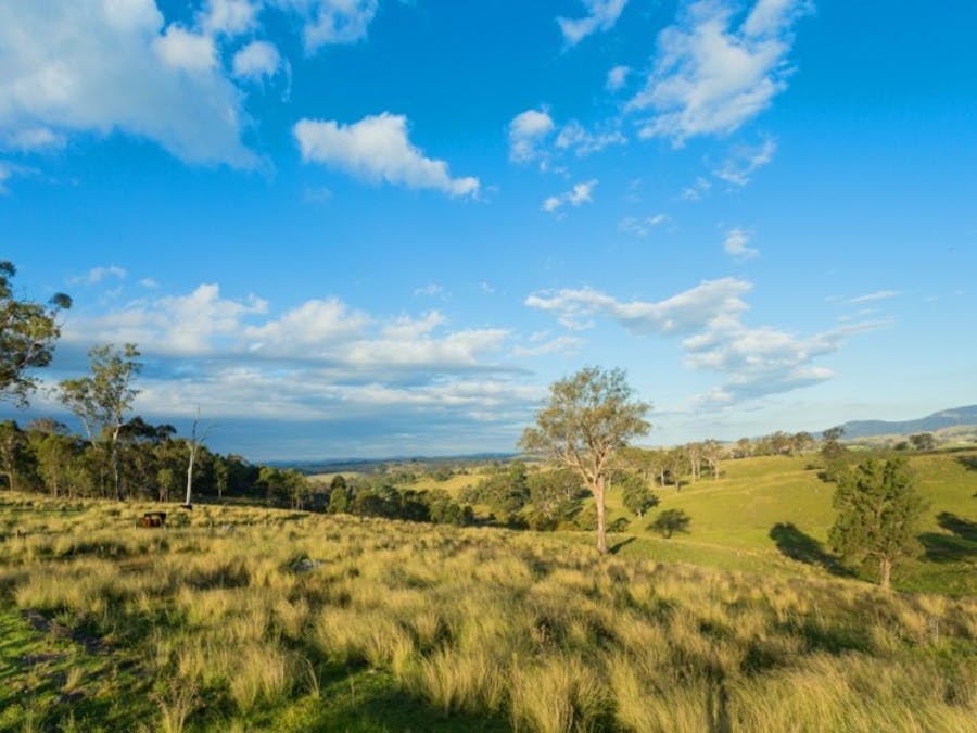 1687 Myrtle Mtn Road, Candelo, NSW, 2550 - Image 25
