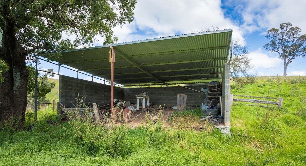 157 Coopers Gully Road, Bega, NSW, 2550 - Image 10
