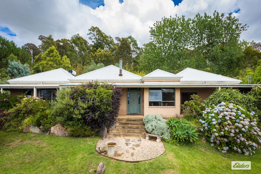 298 Daisy Hill Road, Bega, NSW, 2550 - Image 16