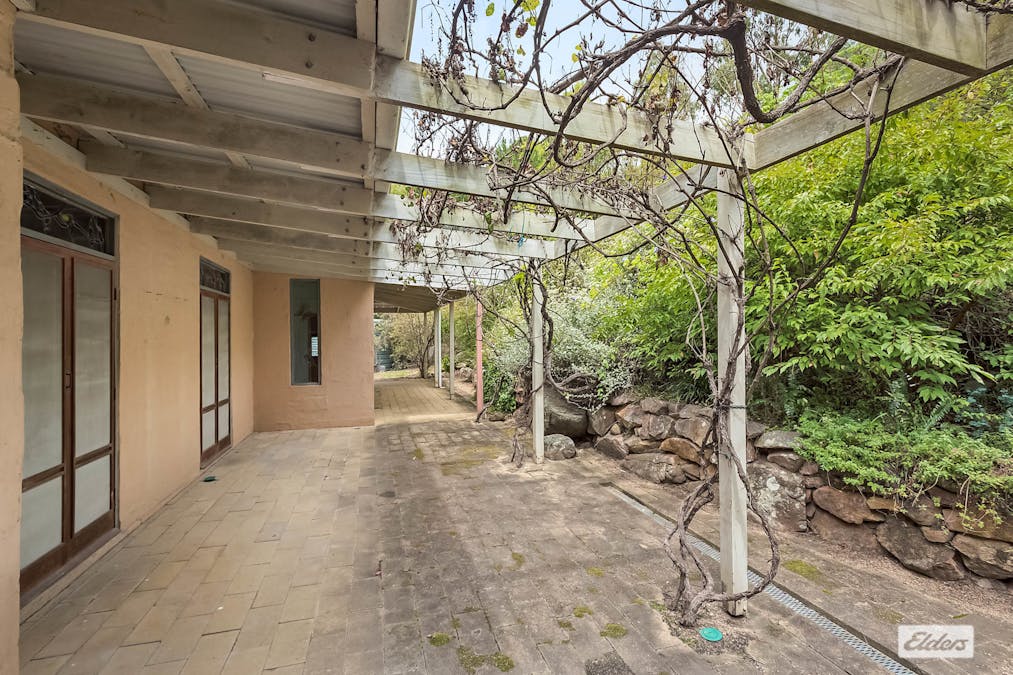 298 Daisy Hill Road, Bega, NSW, 2550 - Image 3