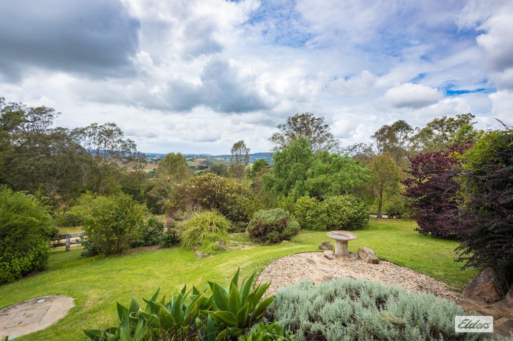 298 Daisy Hill Road, Bega, NSW, 2550 - Image 4