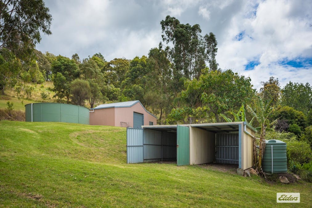 298 Daisy Hill Road, Bega, NSW, 2550 - Image 15
