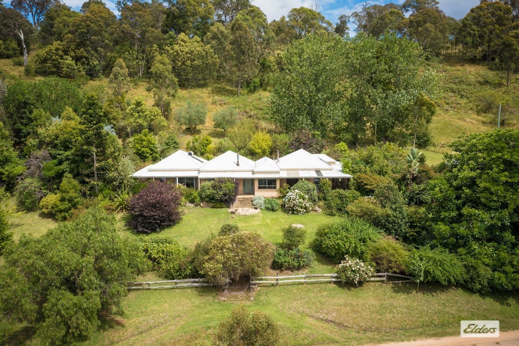 298 Daisy Hill Road, Bega, NSW, 2550 - Image 1